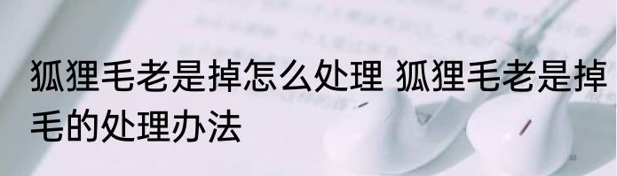 狐狸毛老是掉怎么处理 狐狸毛老是掉毛的处理办法