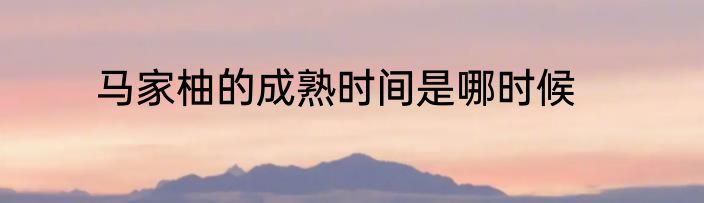 马家柚的成熟时间是哪时候