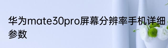华为mate30pro屏幕分辨率手机详细参数