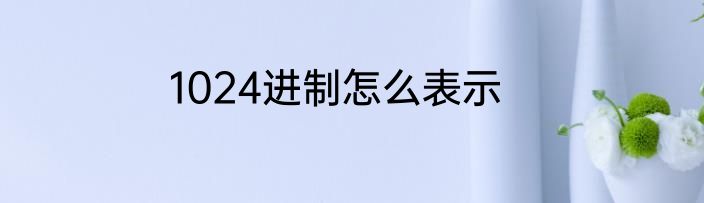 1024进制怎么表示