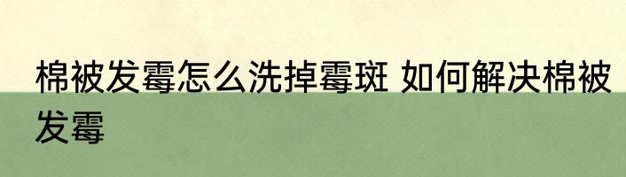 棉被发霉怎么洗掉霉斑 如何解决棉被发霉