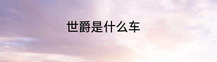 世爵是什么车
