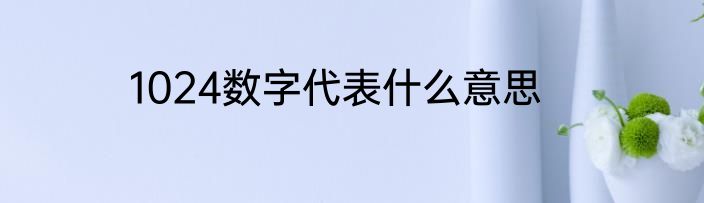 1024数字代表什么意思