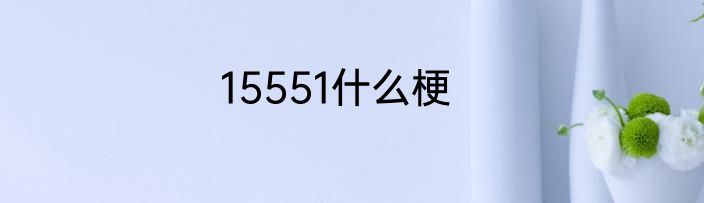 15551什么梗