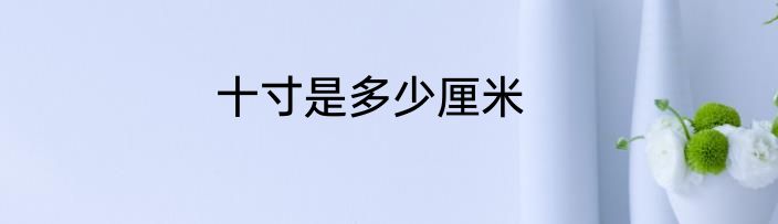 十寸是多少厘米
