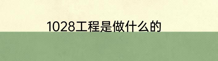 1028工程是做什么的