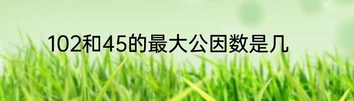 102和45的最大公因数是几