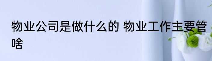 物业公司是做什么的 物业工作主要管啥