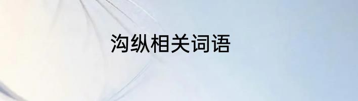 沟纵相关词语