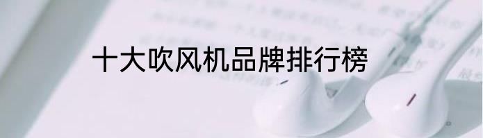 十大吹风机品牌排行榜