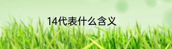 14代表什么含义