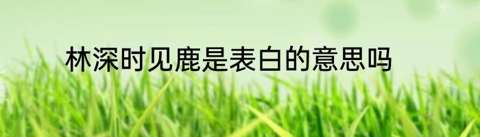 林深时见鹿是表白的意思吗