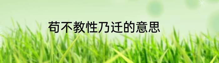 苟不教性乃迁的意思