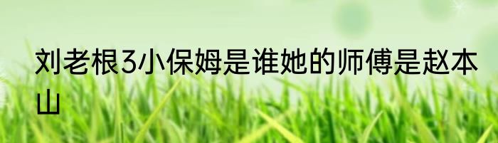 刘老根3小保姆是谁她的师傅是赵本山