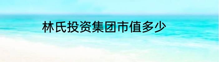 林氏投资集团市值多少