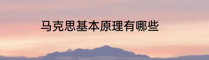 马克思基本原理有哪些