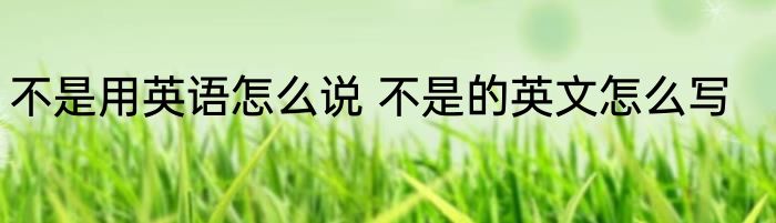 不是用英语怎么说 不是的英文怎么写