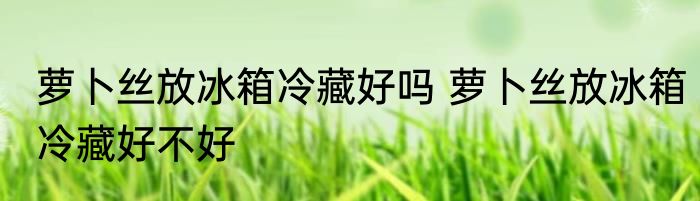 萝卜丝放冰箱冷藏好吗 萝卜丝放冰箱冷藏好不好