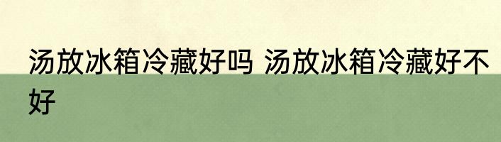 汤放冰箱冷藏好吗 汤放冰箱冷藏好不好