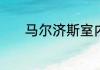 马尔济斯室内温度21度可以吗