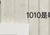 1010是哪个省的区号