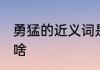 勇猛的近义词是什么 勇猛的近义词是啥