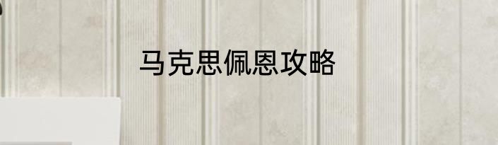 马克思佩恩攻略