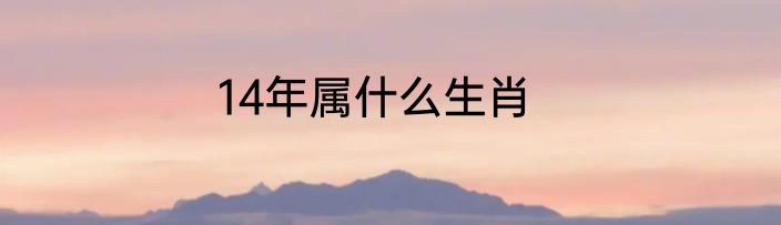 14年属什么生肖