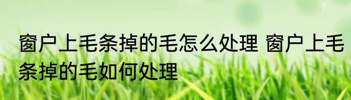 窗户上毛条掉的毛怎么处理 窗户上毛条掉的毛如何处理