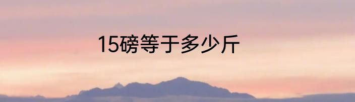 15磅等于多少斤