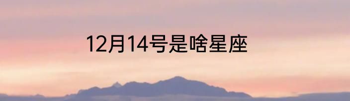 12月14号是啥星座