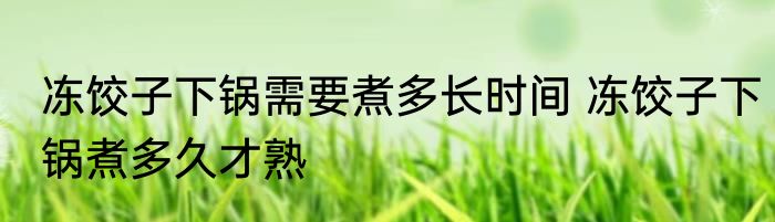 冻饺子下锅需要煮多长时间 冻饺子下锅煮多久才熟