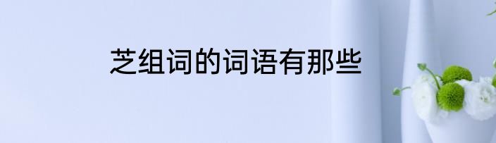 芝组词的词语有那些