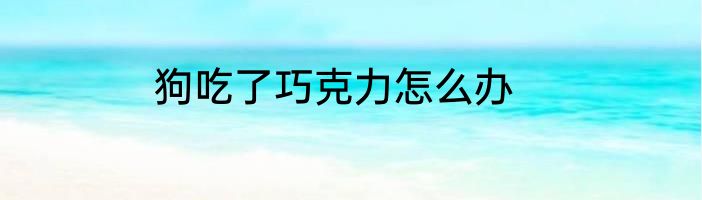 狗吃了巧克力怎么办