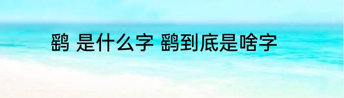 鹞 是什么字 鹞到底是啥字