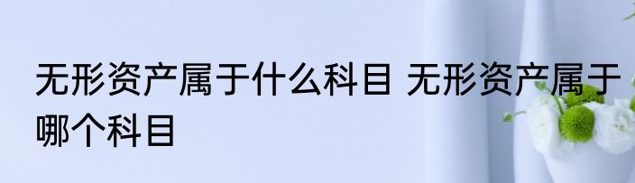 无形资产属于什么科目 无形资产属于哪个科目