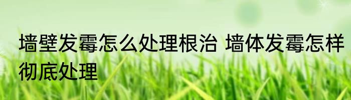 墙壁发霉怎么处理根治 墙体发霉怎样彻底处理