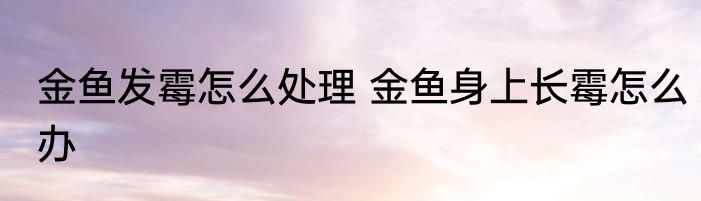 金鱼发霉怎么处理 金鱼身上长霉怎么办