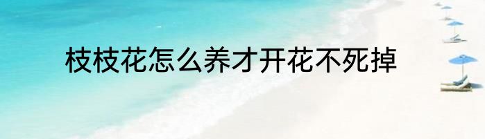 枝枝花怎么养才开花不死掉