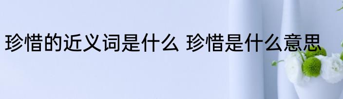 珍惜的近义词是什么 珍惜是什么意思