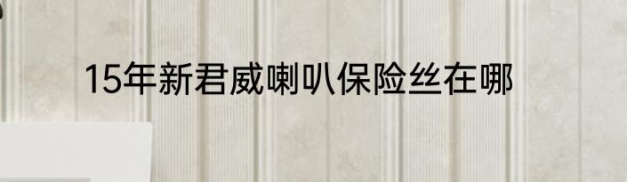 15年新君威喇叭保险丝在哪