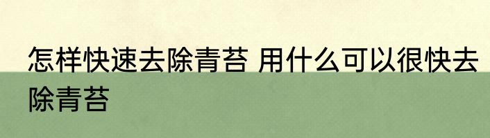 怎样快速去除青苔 用什么可以很快去除青苔