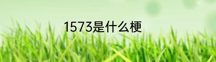 1573是什么梗