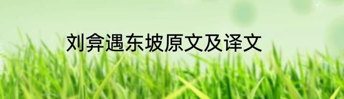 刘弇遇东坡原文及译文