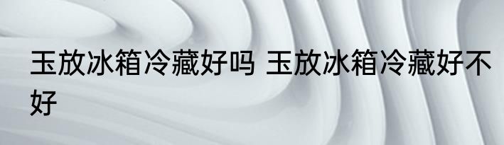 玉放冰箱冷藏好吗 玉放冰箱冷藏好不好