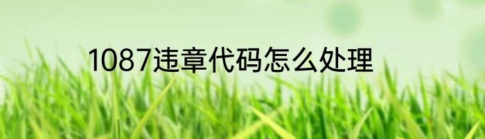 1087违章代码怎么处理