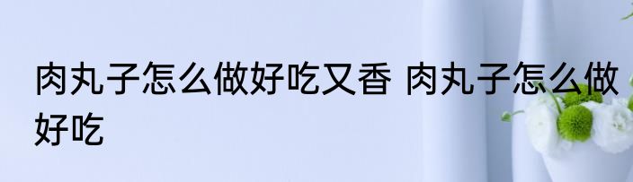 肉丸子怎么做好吃又香 肉丸子怎么做好吃