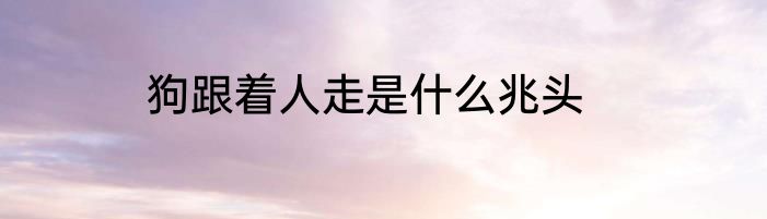狗跟着人走是什么兆头