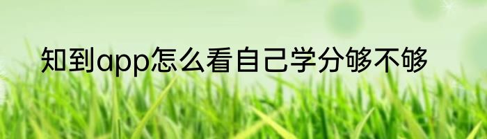 知到app怎么看自己学分够不够