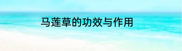 马莲草的功效与作用